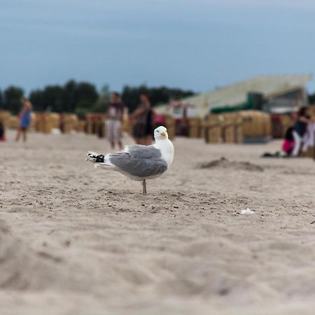 Ferienwohnungen-Neue-Tiefe-Wohnung-Kleiderbuegel Neue Tiefe Fehmarn Екстер'єр фото