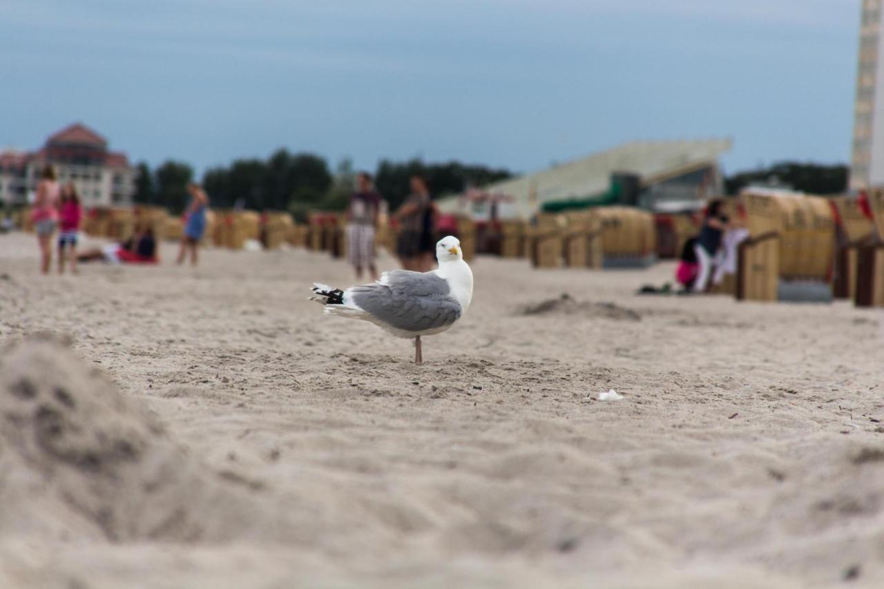 Ferienwohnungen-Neue-Tiefe-Wohnung-Kleiderbuegel Neue Tiefe Fehmarn Екстер'єр фото